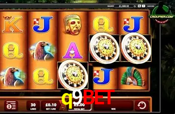 A Emoção da Loteria na q9bet: Uma Chance de Mudança de Vida